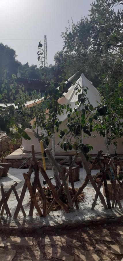 Farm Glamping Tent On Acquaviva Bay Hotel Marittima Buitenkant foto