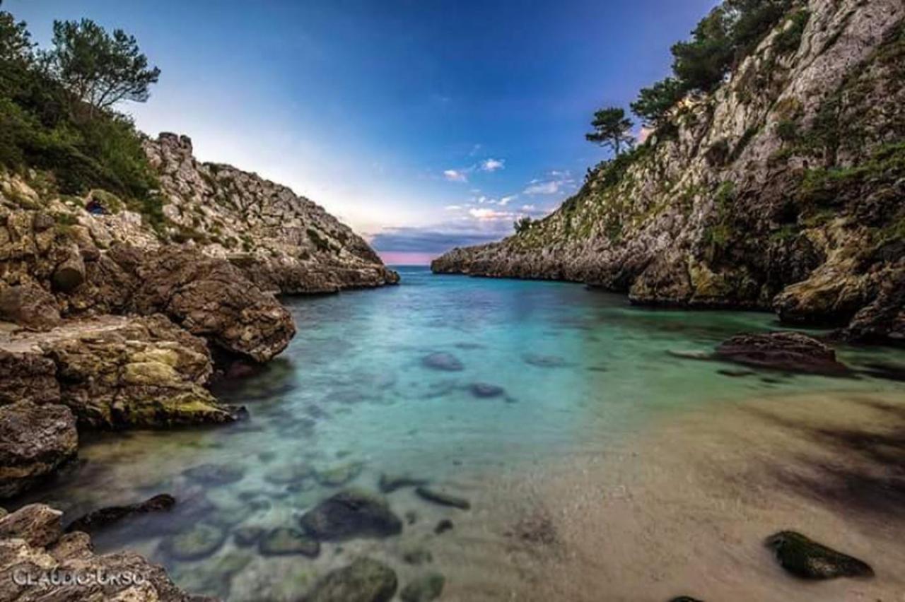 Farm Glamping Tent On Acquaviva Bay Hotel Marittima Buitenkant foto