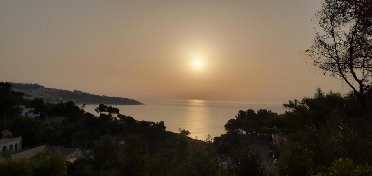 Farm Glamping Tent On Acquaviva Bay Hotel Marittima Buitenkant foto